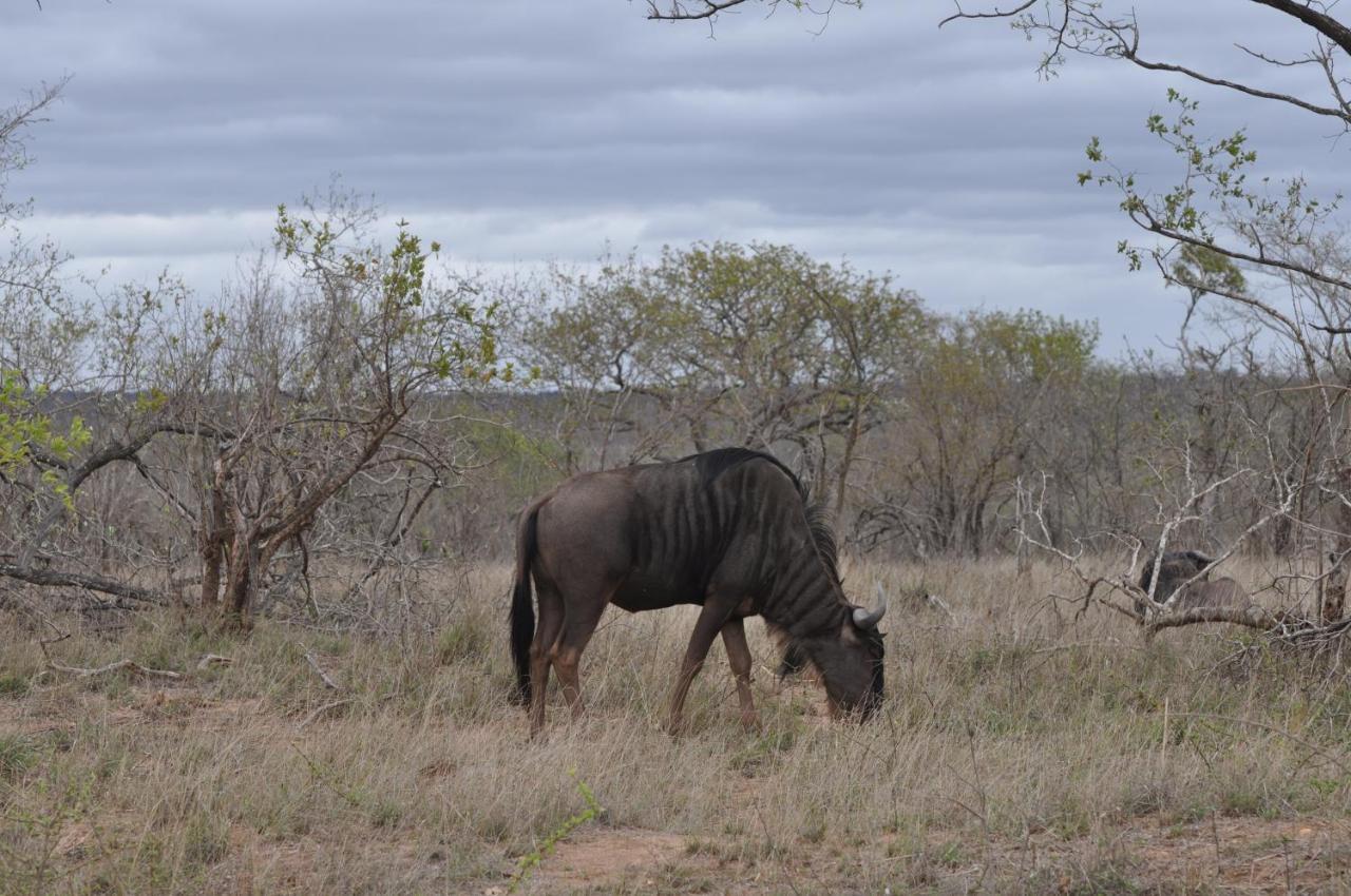 Hazyview Buffalo Game Lodge Exteriör bild
